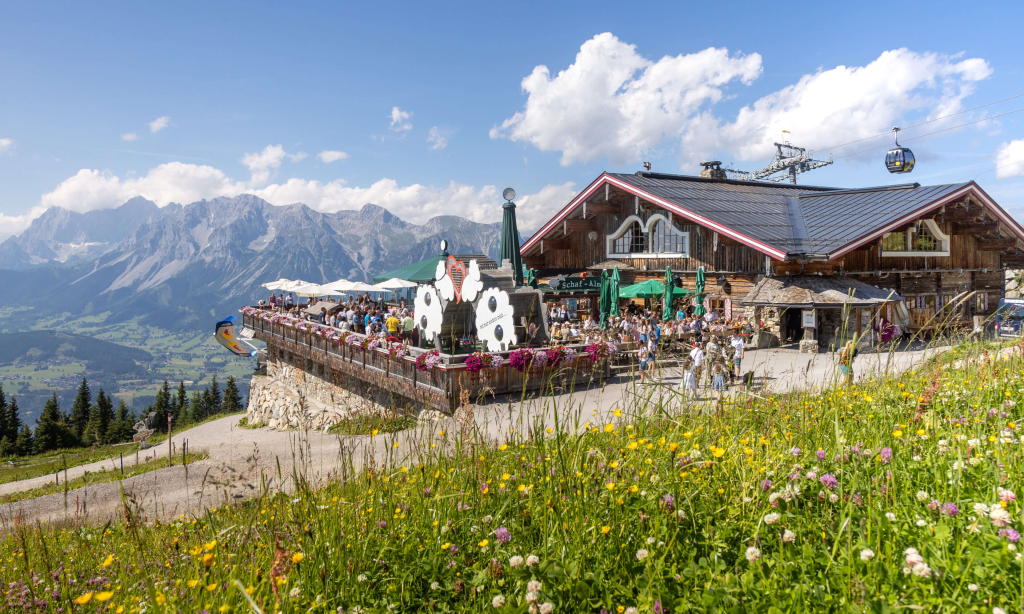 Berggasthof Schafalm mit Terrasse, umgeben von Wiesen und Bergen, an einem sonnigen Tag.